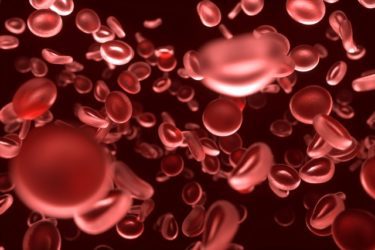 酸素を運ぶ赤血球