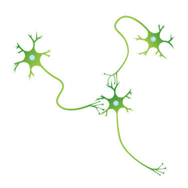 神経細胞について
